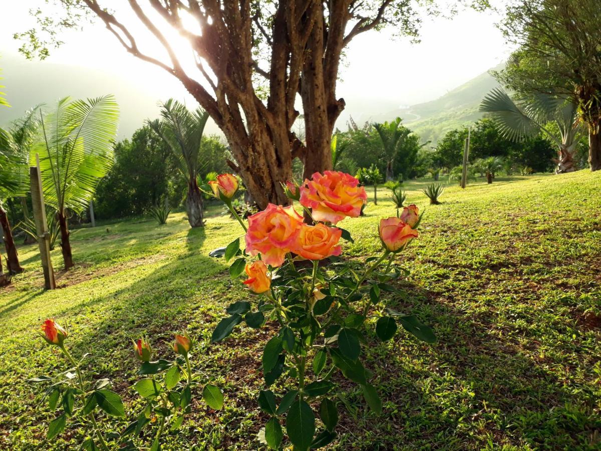 Casa/sitio Na Serra Em Bom Jardim - Rj *