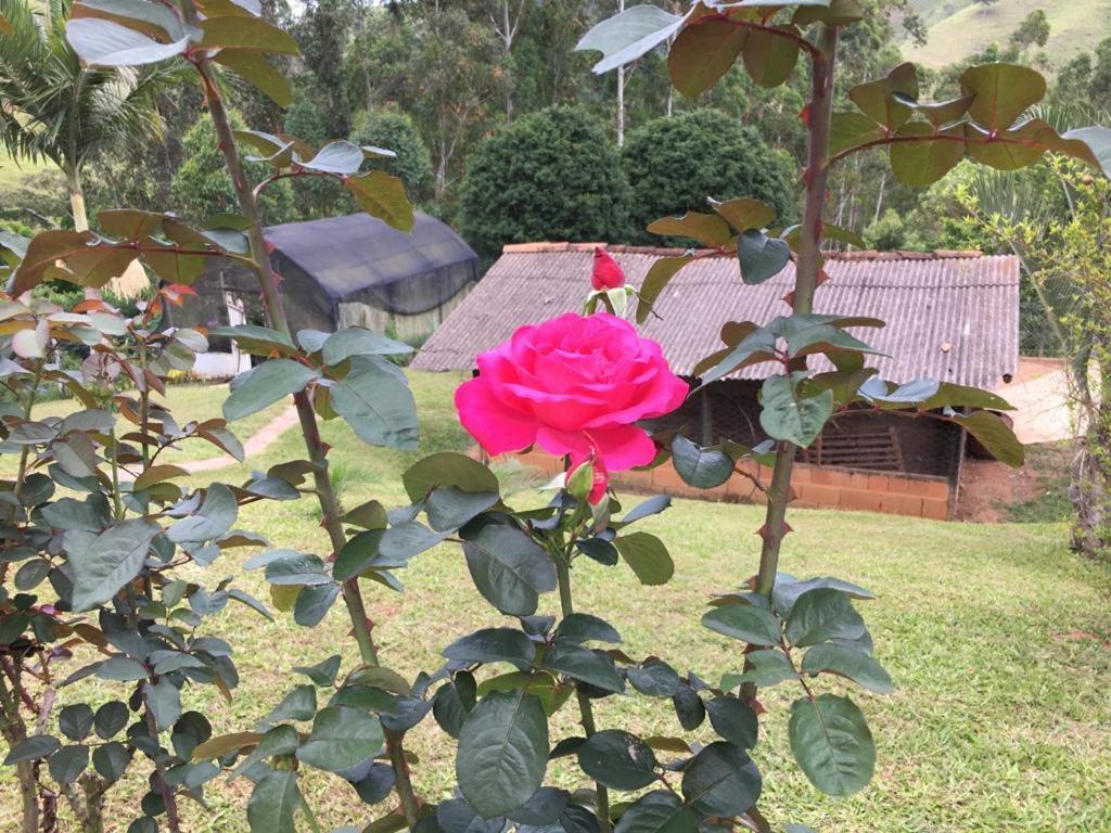 Casa/sitio Na Serra Em Bom Jardim - Rj Holiday home Bom Jardim (Rio de Janeiro)