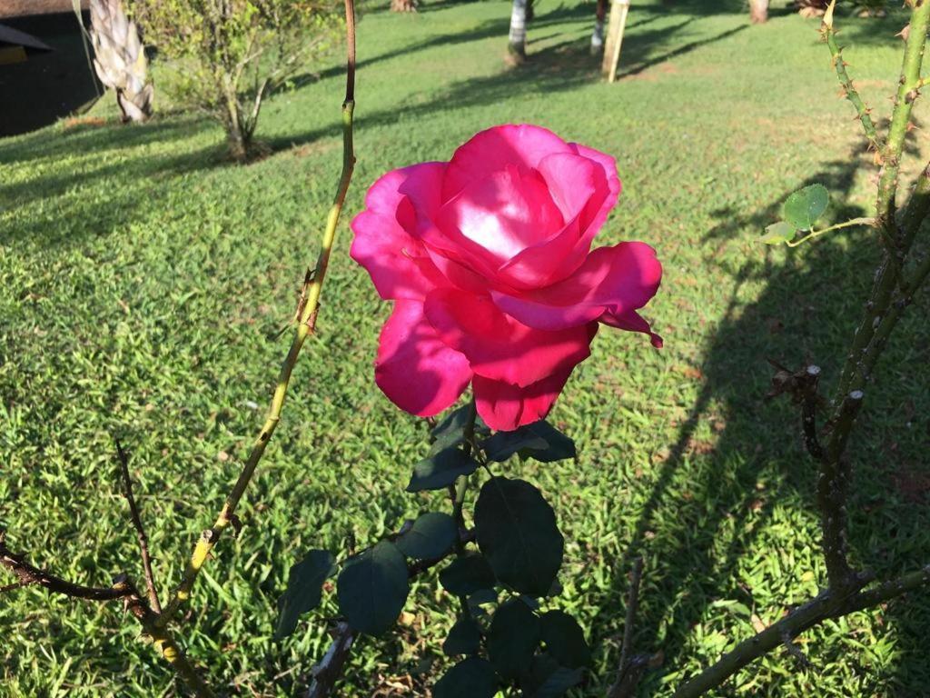 Сasa de vacaciones Casa/sítio Na Serra Em Bom Jardim - Rj Bom Jardim (Rio de Janeiro)