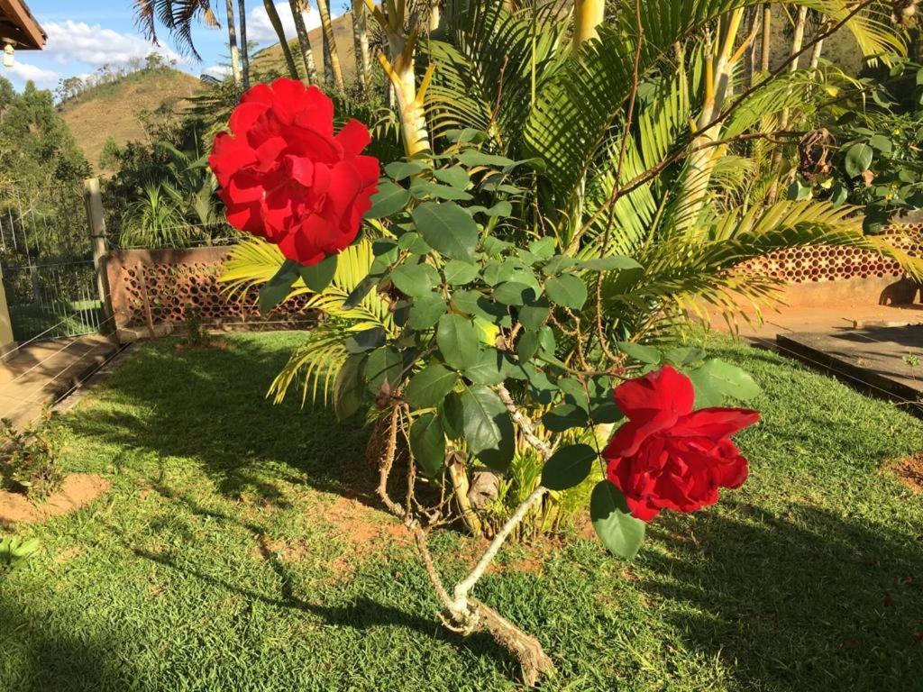 Сasa de vacaciones Casa/sítio Na Serra Em Bom Jardim - Rj Bom Jardim (Rio de Janeiro)
