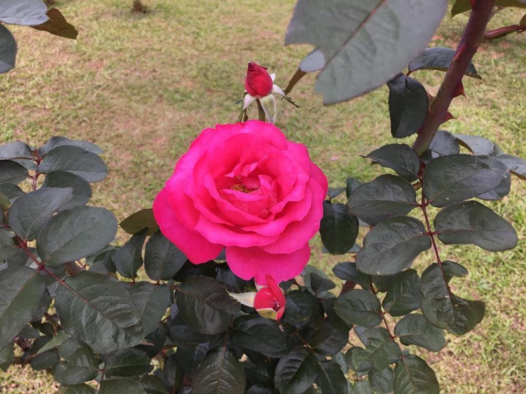 Сasa de vacaciones Casa/sítio Na Serra Em Bom Jardim - Rj