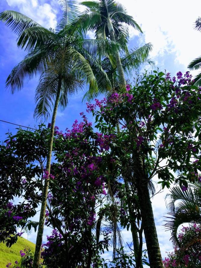 Сasa de vacaciones Casa/sítio Na Serra Em Bom Jardim - Rj Bom Jardim (Rio de Janeiro)